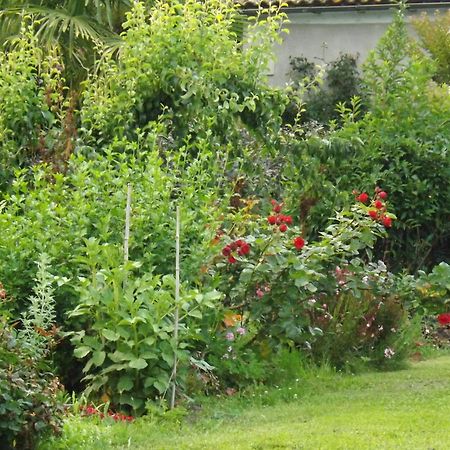 Bed and Breakfast Damechouette Pujols  Екстер'єр фото