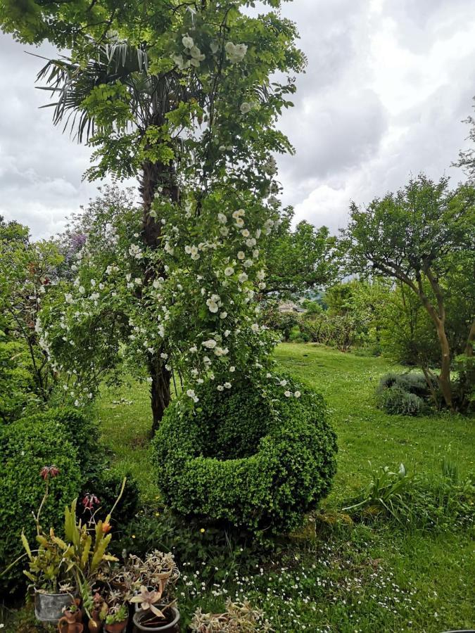 Bed and Breakfast Damechouette Pujols  Екстер'єр фото